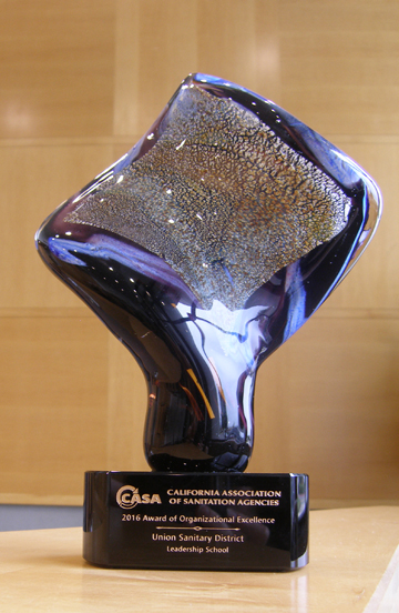 CASA Award web