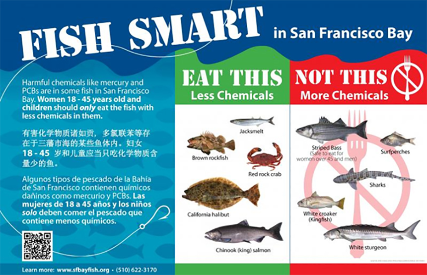 fish smart